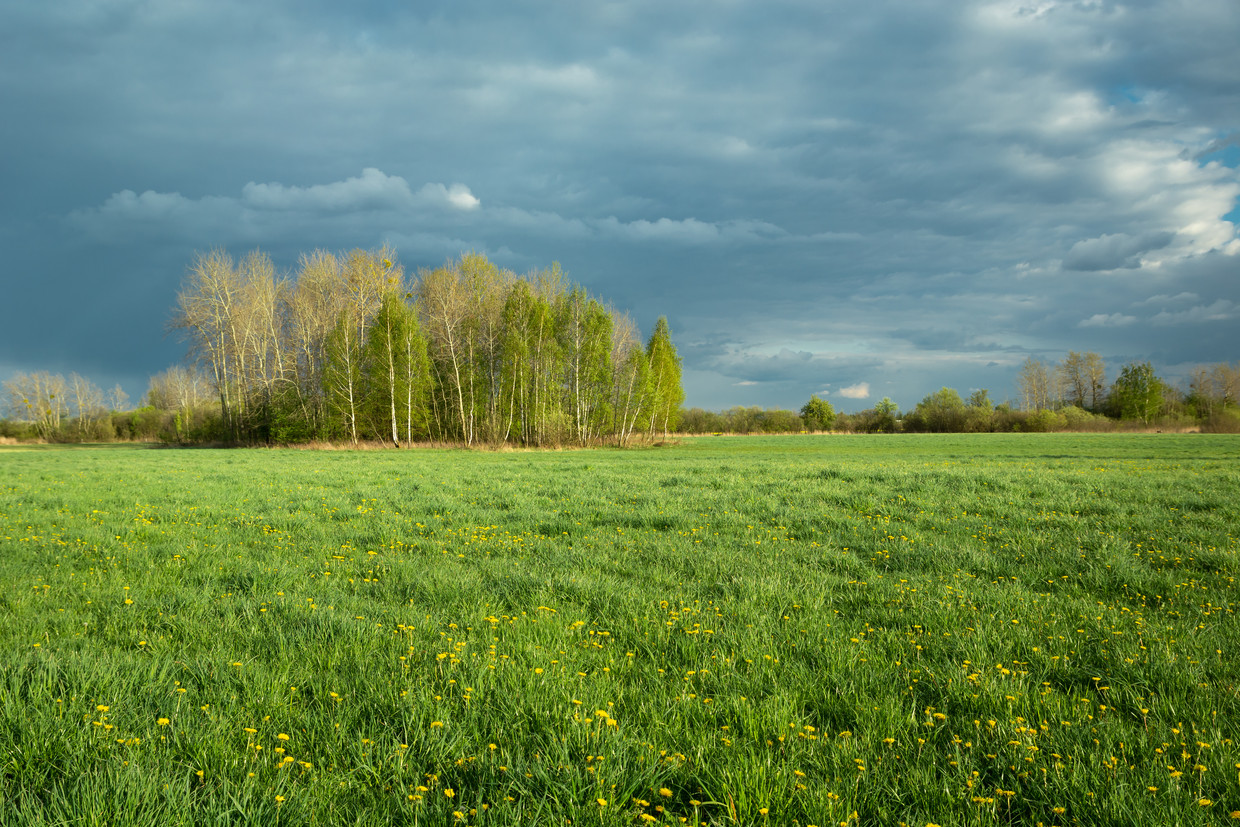 null Beeld Shutterstock