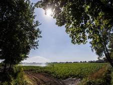 Achterhoeks landschap wacht forse ingrepen om water langer vast te kunnen houden; Waterschap presenteert plannen