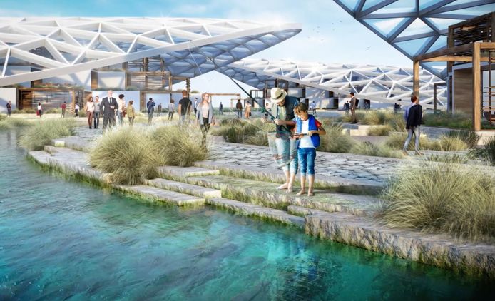 A conceptual image of what will become the world's largest ocean restoration project, off the coast of Dubai.  It will be used for marine research, regeneration and ecotourism.