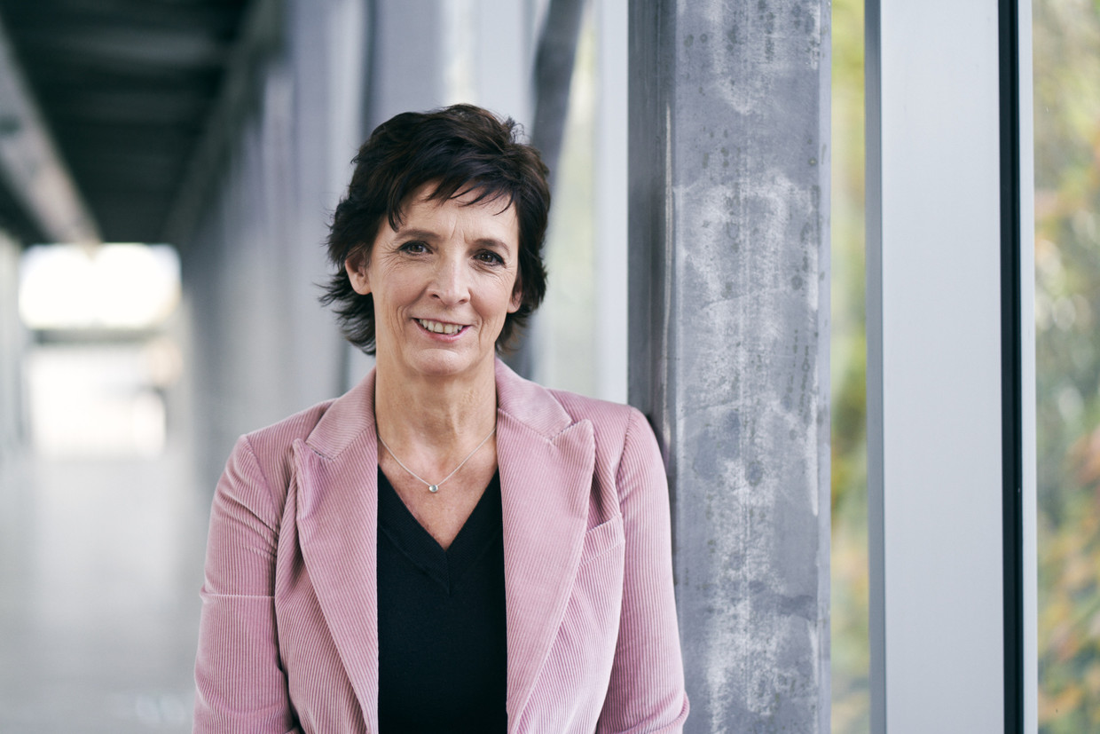 null JORIS CASAER . image