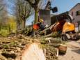 Honderden bomen extra tegen vlakte na droge jaren in de Achterhoek