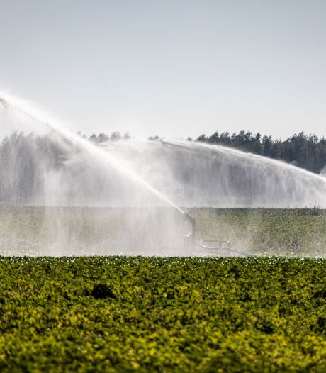 Radicale omslag nodig tegen droogte in Brabant: ‘Maak drinkwater duurder’