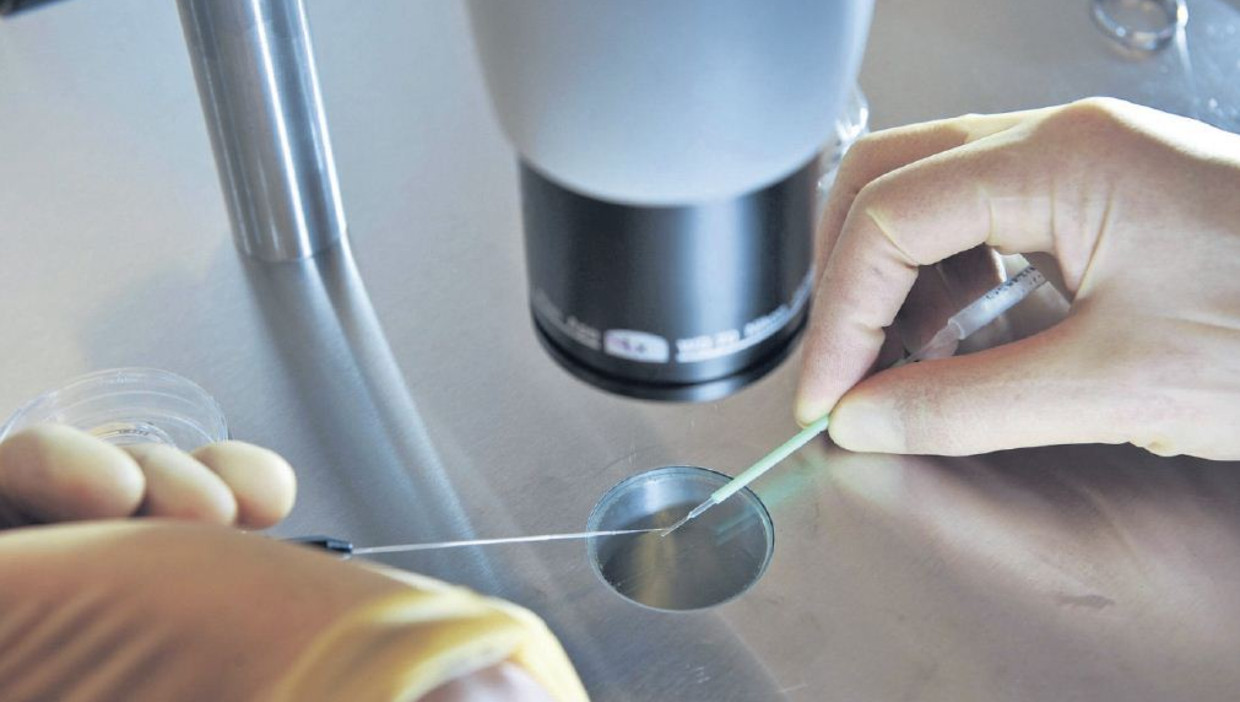 Een wetenschapper werkt aan in-vitrofertilisatie. Beeld ap
