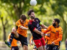 Rondje langs de velden: Prijs voor ARC-gids en code rood bij Alphense Boys