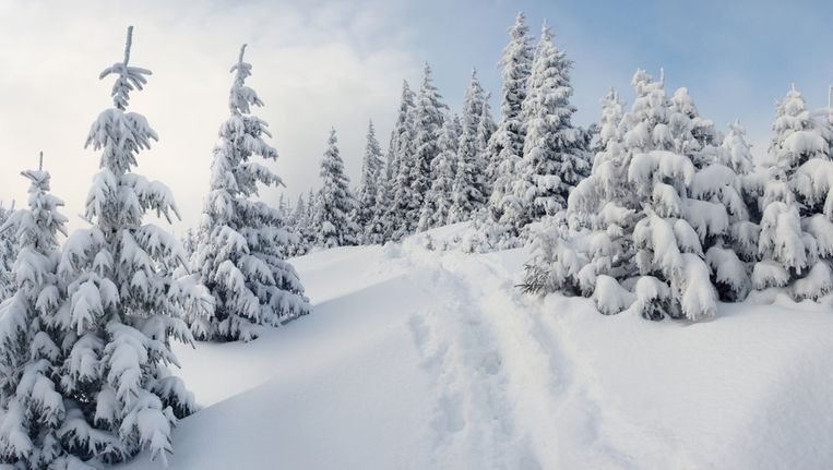 landelijk Geologie litteken Sneeuw op komst: vanaf donderdag winter in Alpen | Het Parool