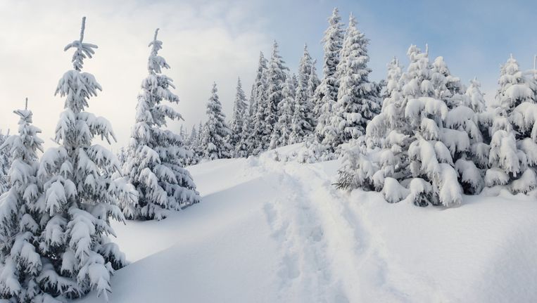 Sneeuw Op Komst Vanaf Donderdag Winter In Alpen De Volkskrant