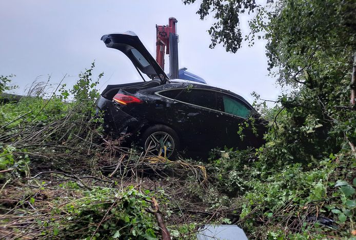 De Mercedes strandde tussen de bomen en de struiken naast de A19 in Beselare.