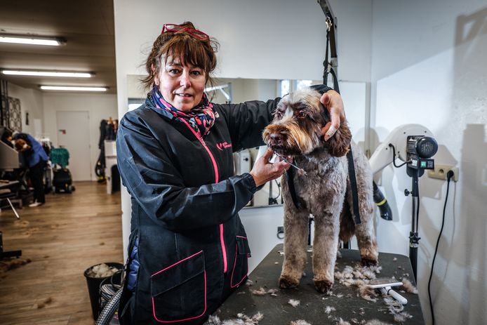 Hondenkapster Dominique Standaert uit Blankenberge
