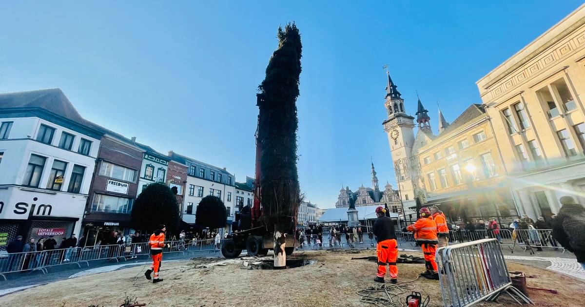 Kerstboom op Grote Markt Aalst na half uur weer neergehaald “Te scheef