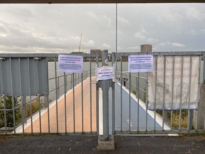De waterbushalte Papendrecht Veerdam kan voorlopig niet worden gebruikt, nadat er dinsdagavond een waterbus tegen de loopbrug aanbotste.