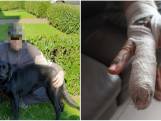 Man (43) die stukje vinger van buurman afbeet reageert: “Sinds zij hier zijn komen wonen, is de situatie onhoudbaar geworden”