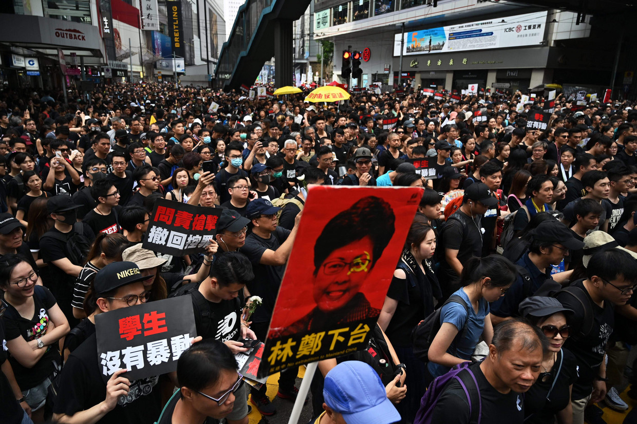 Betogers met een portret van Chief Executive Carrie Lam eisen haar ontslag. Beeld AFP
