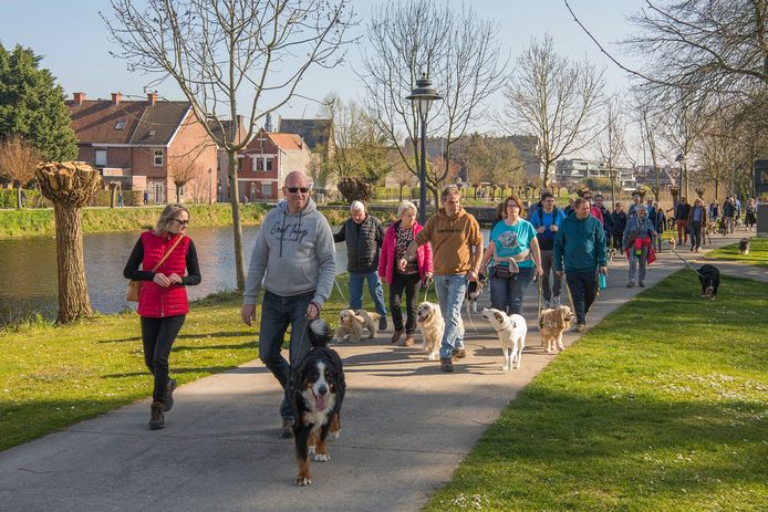 Veel volk voor de eerste hondenwandeling.
