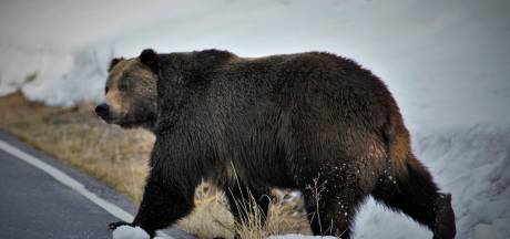 Grover dan grove grappenlijst