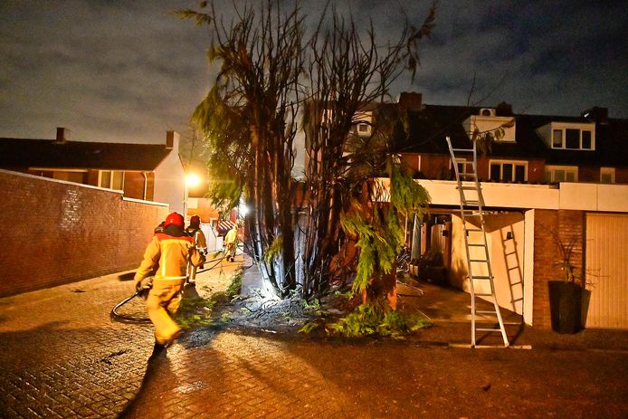 Achter een huis is een grote heg in brand gevlogen.