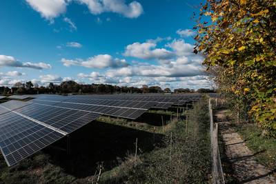 ‘Intensief bemeste maisakker’ wordt zonnepark met stroom voor 800 huishoudens in Halle; actiegroep b
