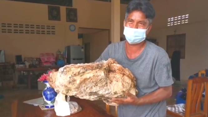 Un pêcheur thaïlandais découvre du vomi de baleine qui pourrait valoir plus d'un million d'euros