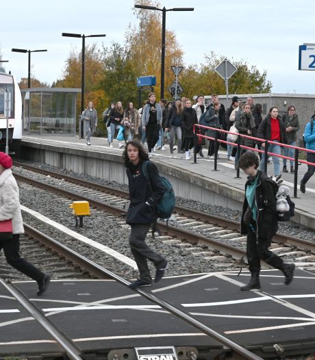 Maaslijn ‘hoogste prioriteit', zegt ProRail; toch brief Land van Cuijk naar staatssecretaris