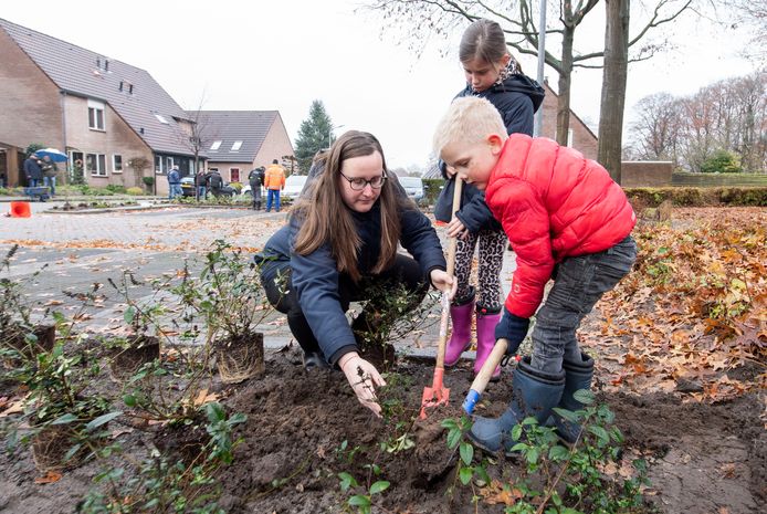 Jessica Vosseveld en haar kinderen Jill en Matthias bezig met het planten van hersthooi rondom de parkeerplaats in de Oosteres.