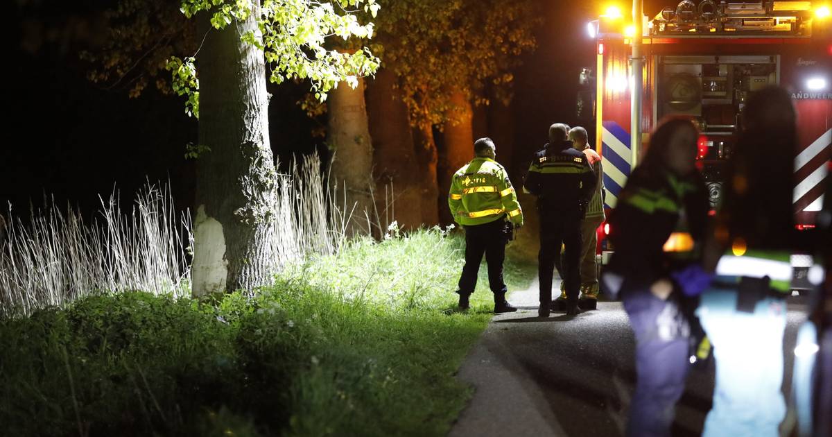 Man uit Steenbergen overleden bij botsing tegen boom in De Heen.