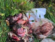 Slachtafval van hazen en ree gedumpt in buitengebied Haaren, politie doet onderzoek
