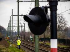 Stelling | Dassen die gaten graven onder het spoor direct afschieten