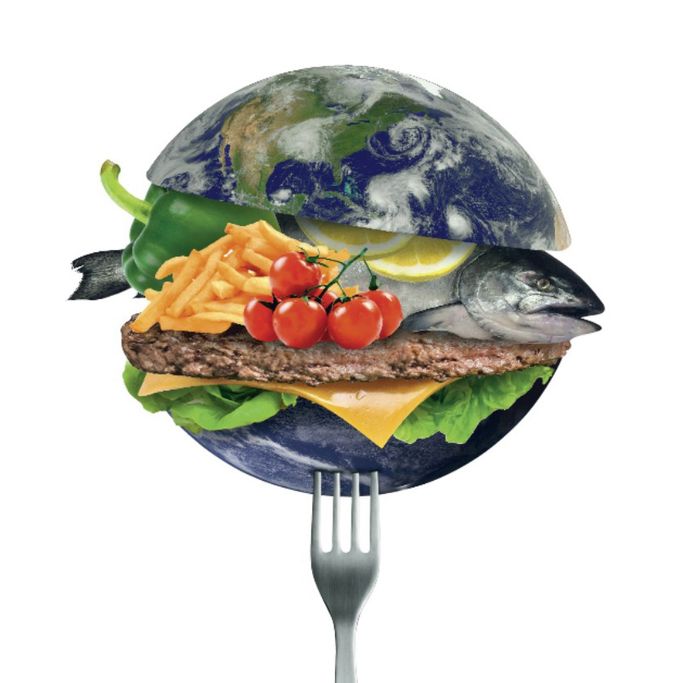 Ons voedingssysteem is verantwoordelijk voor 18 procent van onze klimaatafdruk.
