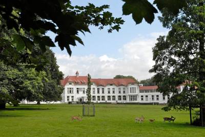 Zinzia zoekt in Wageningen hulp voor de extra's die het leven leuker maken