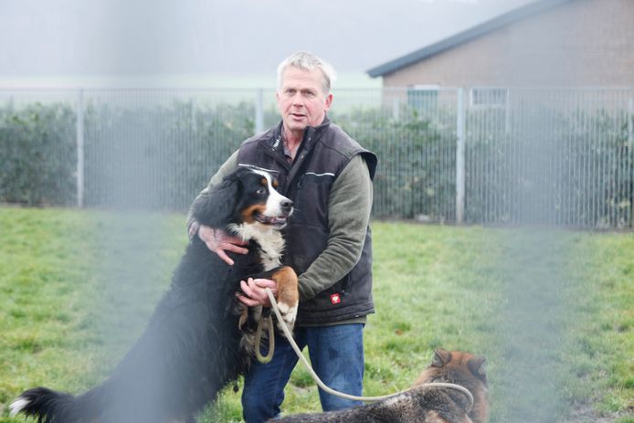 Jos Kosman van dierenpension De Plèk bij de hondenhokken en uitlaadvelden die normaal vol zitten maar nu niet vanwege corona, Groesbeek, 30-12-2020 .