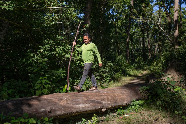 Ramjee Babu Thapa redde met deze stok een Nederlandse toerist uit de klauwen van een tijger. Beeld Elisa Maenhout