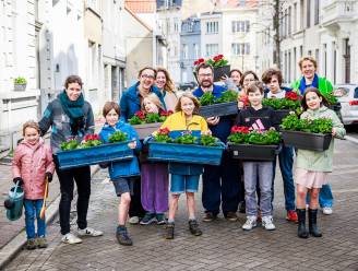 Daar is de lente... in de straten van Antwerpen