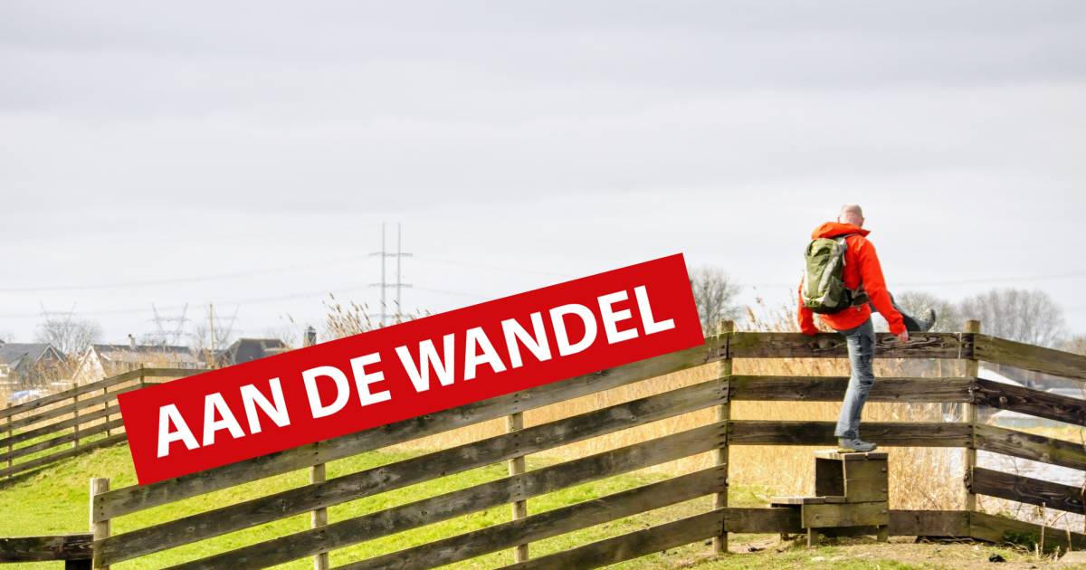 zin in een boergondische paaswandeling dan moet je deze route tussen hoogmade en alphen nemen aan de wandel ad nl
