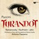 Een schitterende uitvoering van de opera ‘Turandot’ onder leiding van Antonio Pappano ★★★★☆