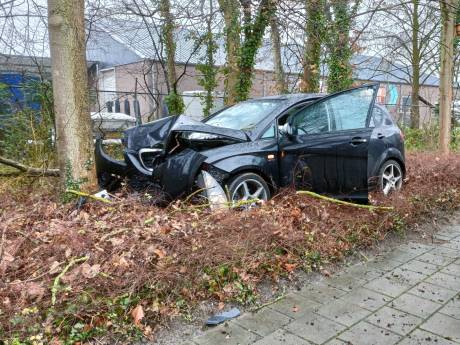 Vogel vliegt tegen voorruit, automobilist knalt tegen boom in Winterswijk
