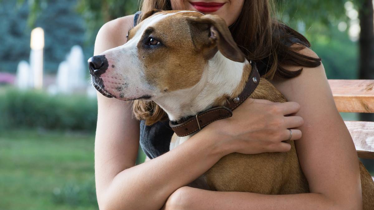 “Amie des animaux”, elle couchait avec ses protégés | Faits divers |  7sur7.be