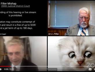 “Ik ben hier, ik ben geen kat”: onbedoelde Zoom-kattenfilter van advocaat gaat viraal