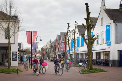 Zomer in Bennekom: schaduw aan één kant