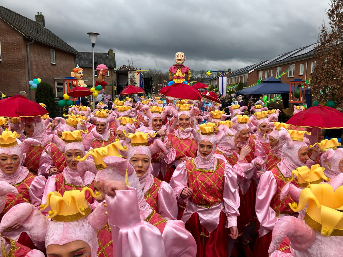 Feestelijk Denekamp waant zich in Efteling tijdens carnavalsoptocht Foto tubantia.nl