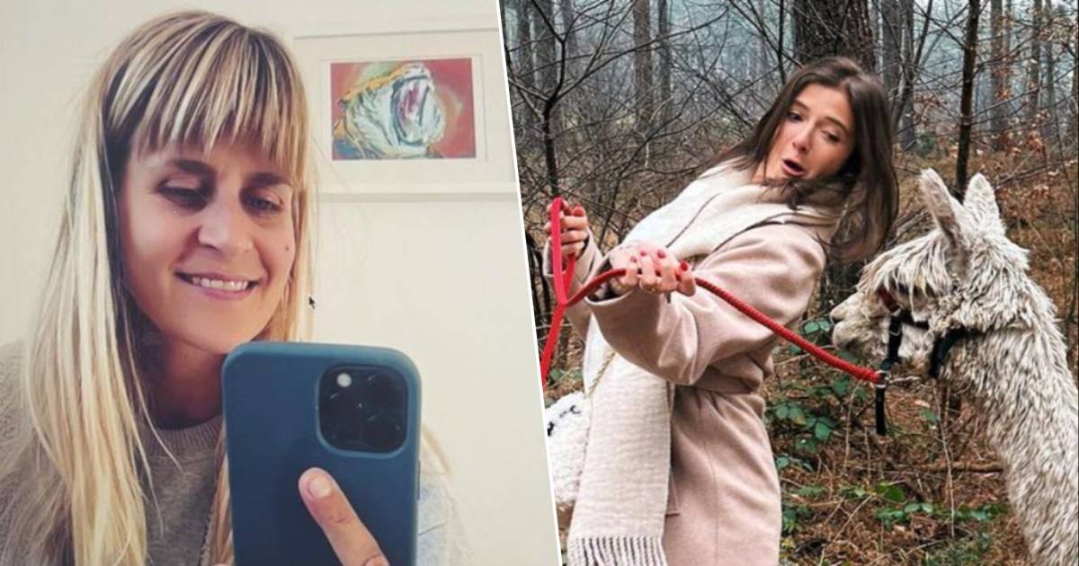 VB 24/7.  Eva Dielemann apre il suo cuore e Jamie Lee Six ha problemi con gli alpaca |  mondo dello spettacolo