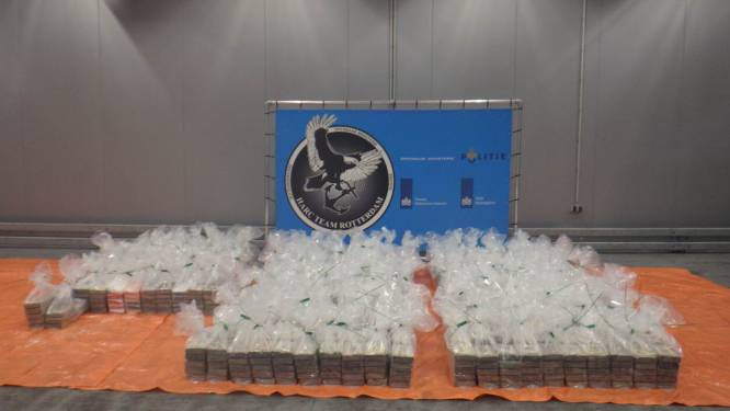 Honderden blokken cocaïne vallen uit Antwerpse container; politie neemt 1,8 ton in beslag met straatwaarde van 191 miljoen euro