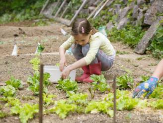 Je tuin onderhouden in tijden van waterschaarste? Zo pak je het aan