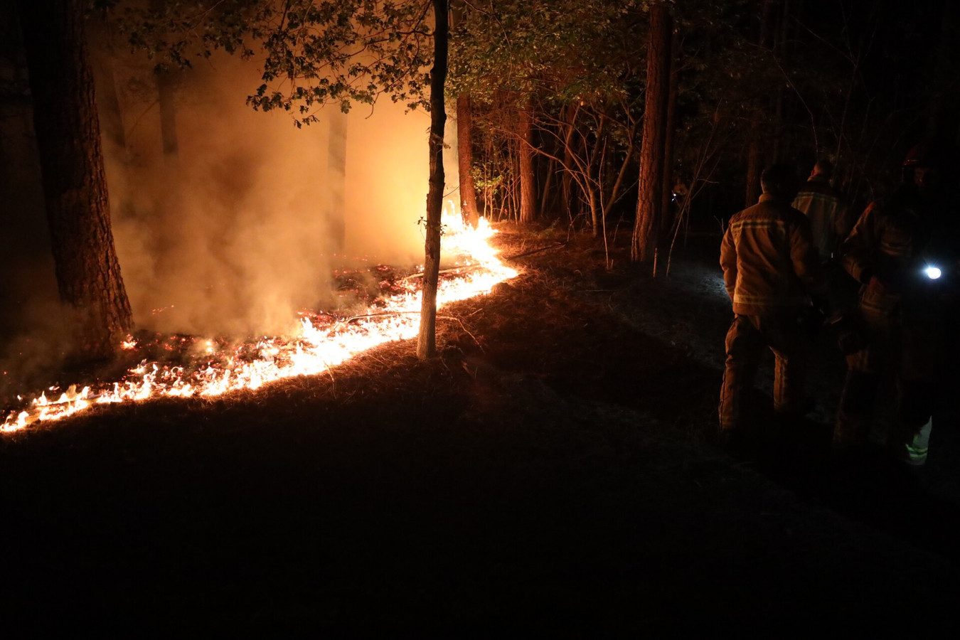 De nachtelijke bosbrand in Son en Breugel.
