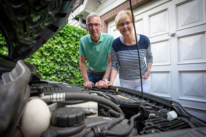 Steenmarter Legt Verrassingsei Onder De Motorkap Van Hans En Loes Weltje Uit Waalre Valkenswaard Waalre Ed Nl