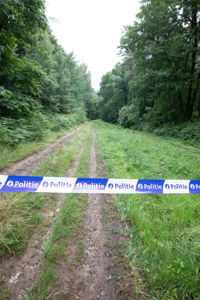 Het Dilserbos, waar Jürgen Conings na 35 dagen lang eindelijk toevallig gevonden werd.