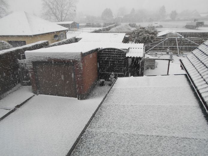 Sneeuw in Dilsen.