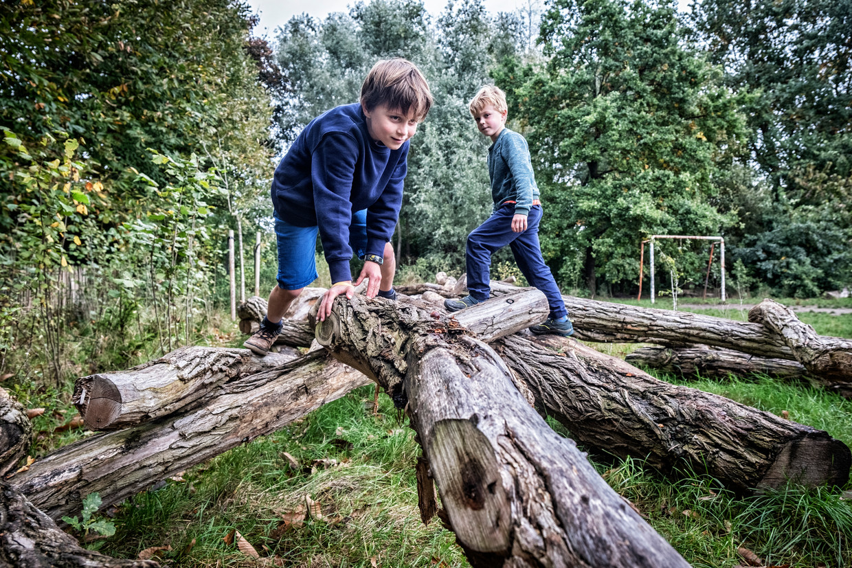In Destelbergen delen schoolkinderen de speelplaats met de buurtbewoners. Beeld Tim Dirven
