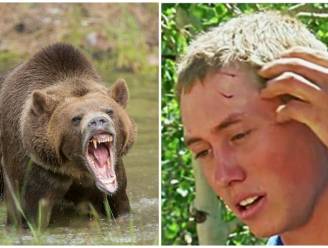 "Opeens hoorde ik een krakend geluid": tiener op kamp wordt wakker met hoofd in muil van beer
