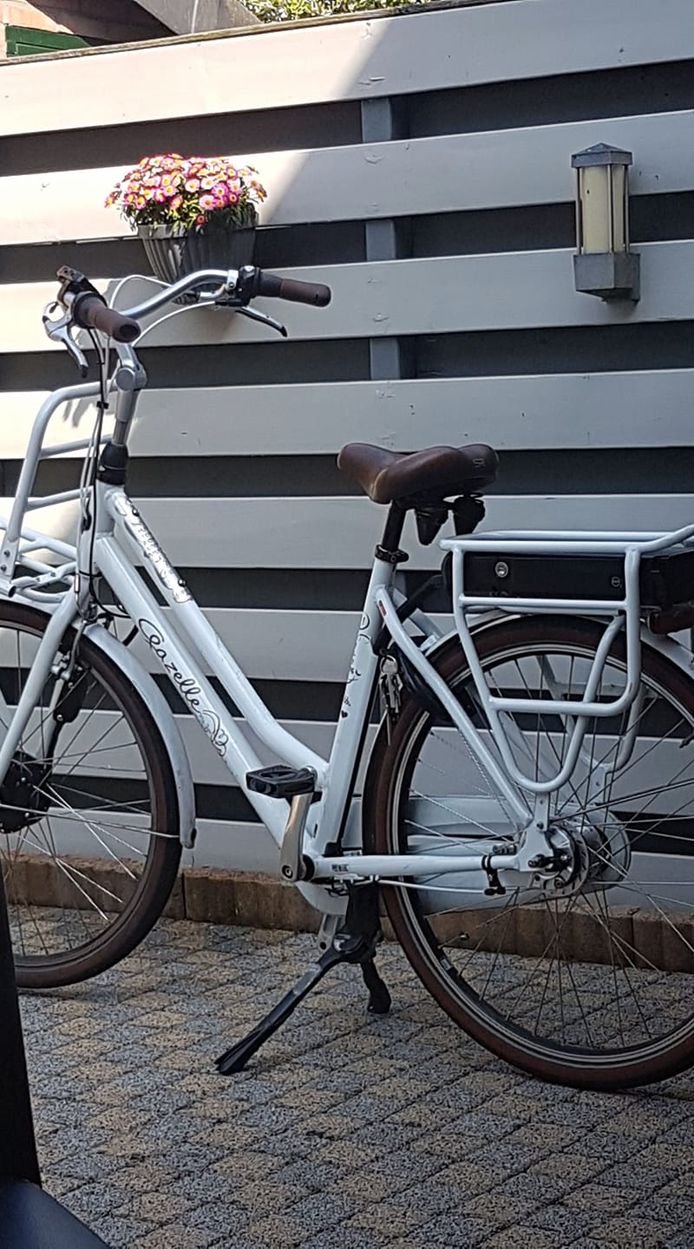 verdrietig potlood beha Apeldoornse moeder woedend over brutale diefstal elektrische fiets van  zieke Naomi | Apeldoorn | destentor.nl