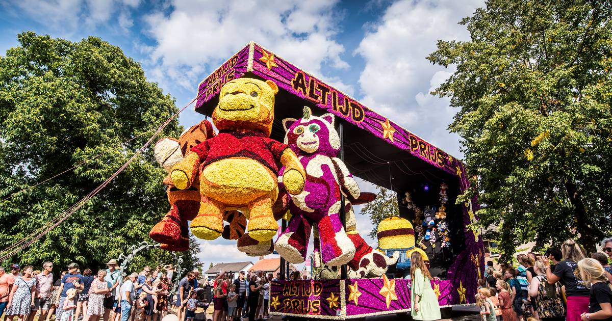 Bloemencorso in Beltrum en snuffelen bij mensen thuis in Borculo: dit is er te doen in Berkelland