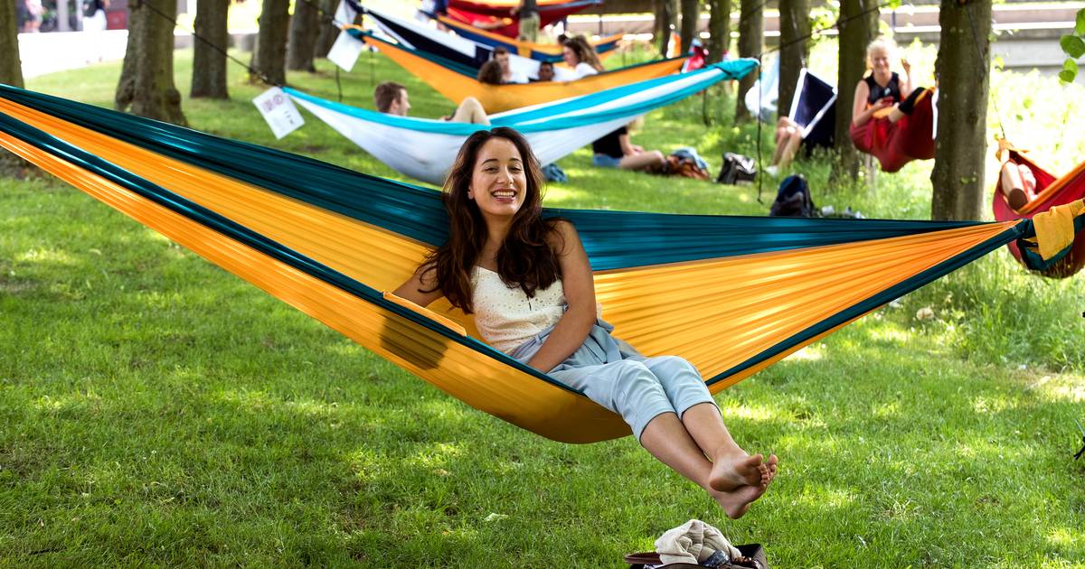 Milieuactivist wetenschapper Karakteriseren Hangmat ophangen in een Utrechts park? Eerst even toestemming aan de  gemeente vragen | Utrecht | AD.nl